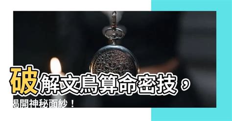 文鳥算命|【文鳥算命】破解文鳥算命密技，揭開神秘面紗！